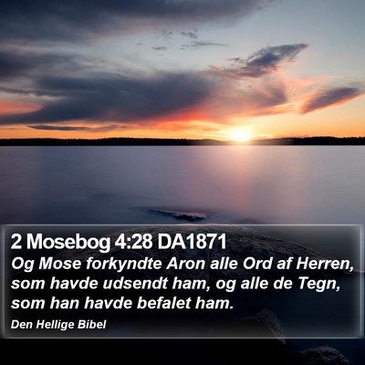 2 Mosebog 4:28 DA1871 Bible Verse Image