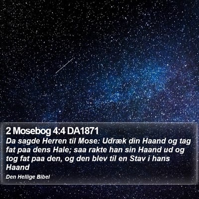 2 Mosebog 4:4 DA1871 Bible Verse Image