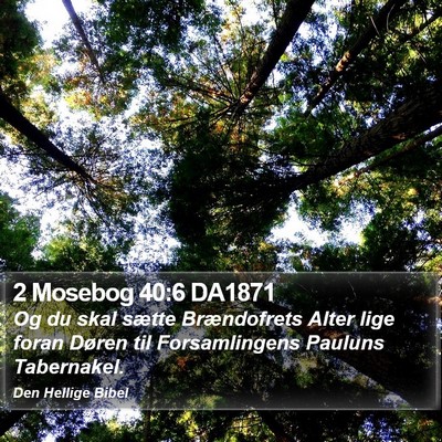 2 Mosebog 40:6 DA1871 Bible Verse Image