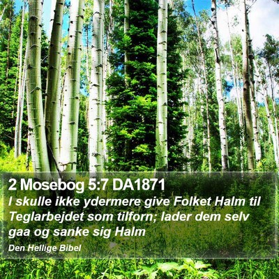 2 Mosebog 5:7 DA1871 Bible Verse Image
