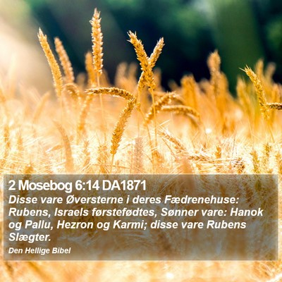 2 Mosebog 6:14 DA1871 Bible Verse Image