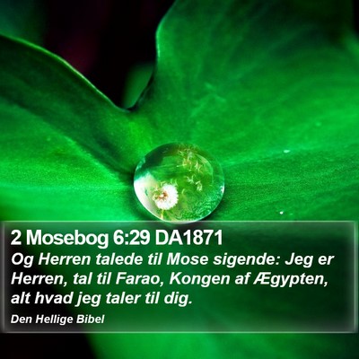 2 Mosebog 6:29 DA1871 Bible Verse Image