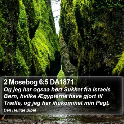 2 Mosebog 6:5 DA1871 Bible Verse Image