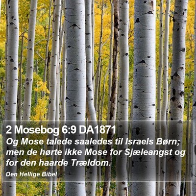 2 Mosebog 6:9 DA1871 Bible Verse Image