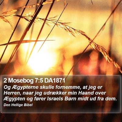 2 Mosebog 7:5 DA1871 Bible Verse Image