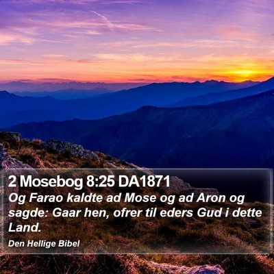 2 Mosebog 8:25 DA1871 Bible Verse Image