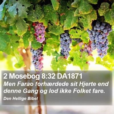 2 Mosebog 8:32 DA1871 Bible Verse Image