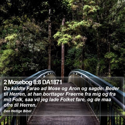 2 Mosebog 8:8 DA1871 Bible Verse Image