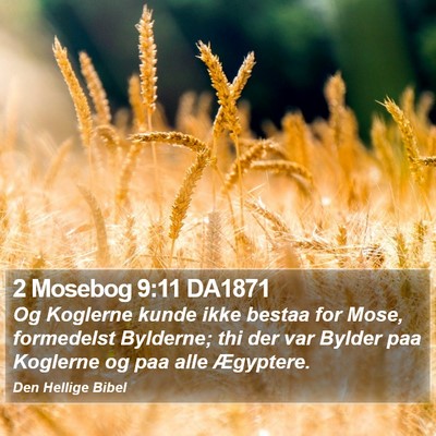 2 Mosebog 9:11 DA1871 Bible Verse Image