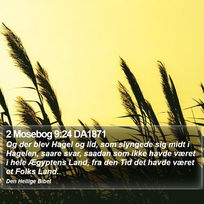 2 Mosebog 9:24 DA1871 Bible Verse Image