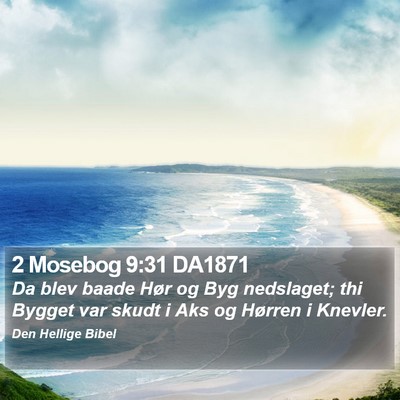 2 Mosebog 9:31 DA1871 Bible Verse Image