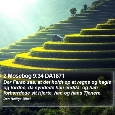 2 Mosebog 9:34 DA1871 Bible Verse Image