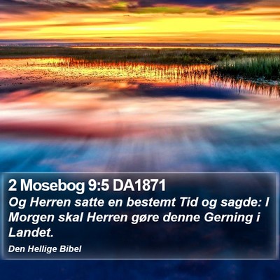 2 Mosebog 9:5 DA1871 Bible Verse Image