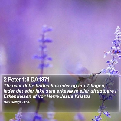 2 Peter 1:8 DA1871 Bible Verse Image