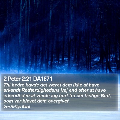 2 Peter 2:21 DA1871 Bible Verse Image