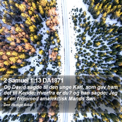 2 Samuel 1:13 DA1871 Bible Verse Image