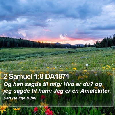 2 Samuel 1:8 DA1871 Bible Verse Image