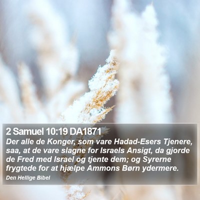 2 Samuel 10:19 DA1871 Bible Verse Image
