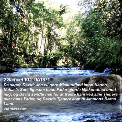 2 Samuel 10:2 DA1871 Bible Verse Image