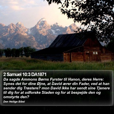 2 Samuel 10:3 DA1871 Bible Verse Image