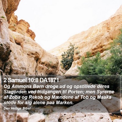 2 Samuel 10:8 DA1871 Bible Verse Image