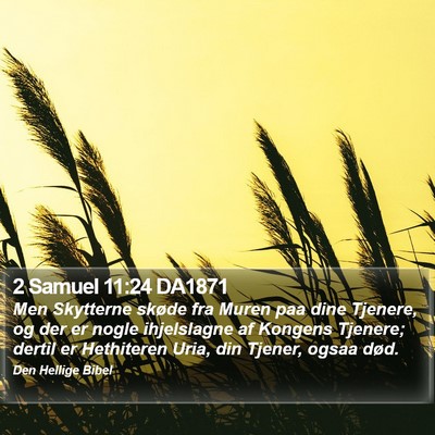 2 Samuel 11:24 DA1871 Bible Verse Image