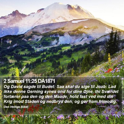 2 Samuel 11:25 DA1871 Bible Verse Image