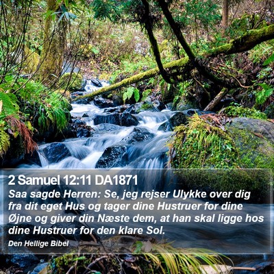 2 Samuel 12:11 DA1871 Bible Verse Image