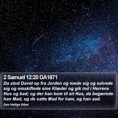 2 Samuel 12:20 DA1871 Bible Verse Image