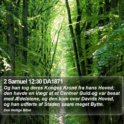 2 Samuel 12:30 DA1871 Bible Verse Image