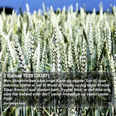 2 Samuel 13:28 DA1871 Bible Verse Image