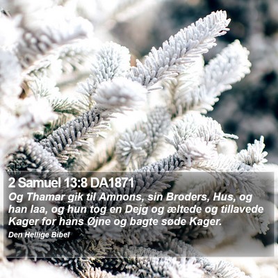 2 Samuel 13:8 DA1871 Bible Verse Image