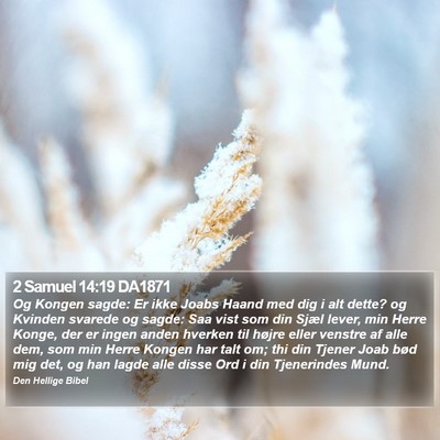 2 Samuel 14:19 DA1871 Bible Verse Image