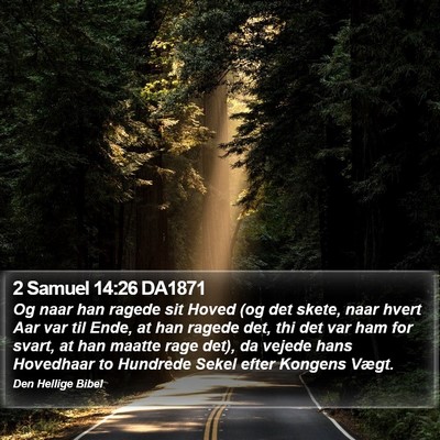 2 Samuel 14:26 DA1871 Bible Verse Image