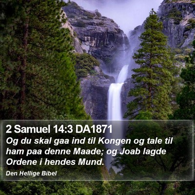 2 Samuel 14:3 DA1871 Bible Verse Image