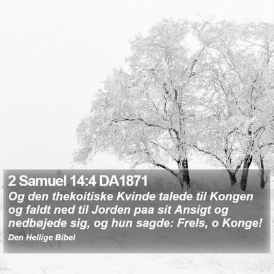 2 Samuel 14:4 DA1871 Bible Verse Image