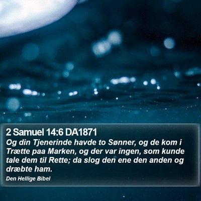 2 Samuel 14:6 DA1871 Bible Verse Image