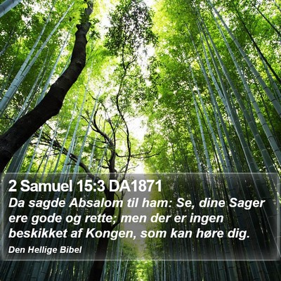 2 Samuel 15:3 DA1871 Bible Verse Image