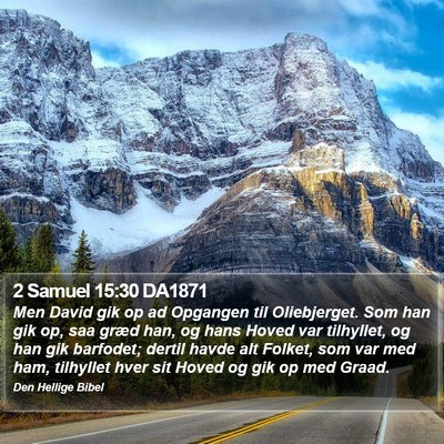 2 Samuel 15:30 DA1871 Bible Verse Image