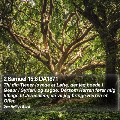 2 Samuel 15:8 DA1871 Bible Verse Image