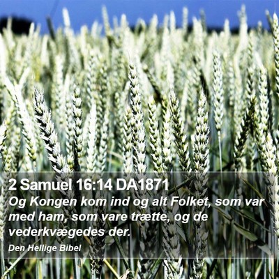 2 Samuel 16:14 DA1871 Bible Verse Image