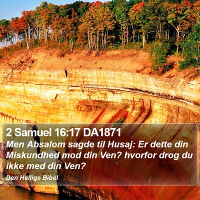 2 Samuel 16:17 DA1871 Bible Verse Image