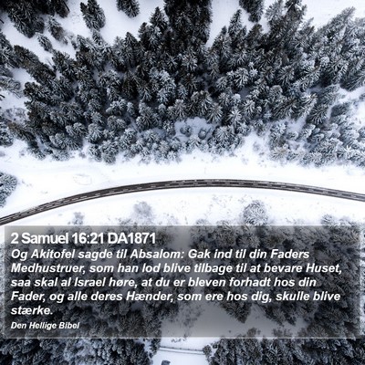2 Samuel 16:21 DA1871 Bible Verse Image