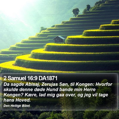 2 Samuel 16:9 DA1871 Bible Verse Image