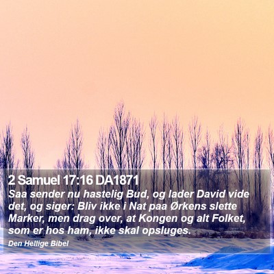 2 Samuel 17:16 DA1871 Bible Verse Image