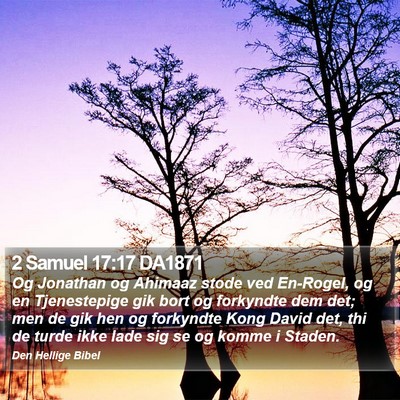 2 Samuel 17:17 DA1871 Bible Verse Image