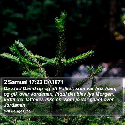 2 Samuel 17:22 DA1871 Bible Verse Image