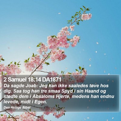 2 Samuel 18:14 DA1871 Bible Verse Image