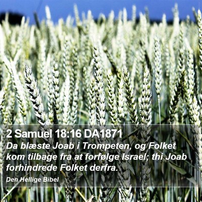 2 Samuel 18:16 DA1871 Bible Verse Image