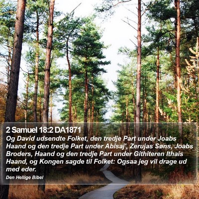 2 Samuel 18:2 DA1871 Bible Verse Image